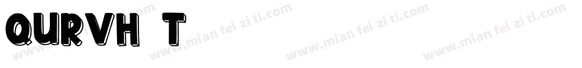 QURVH-T1 (7)字体转换